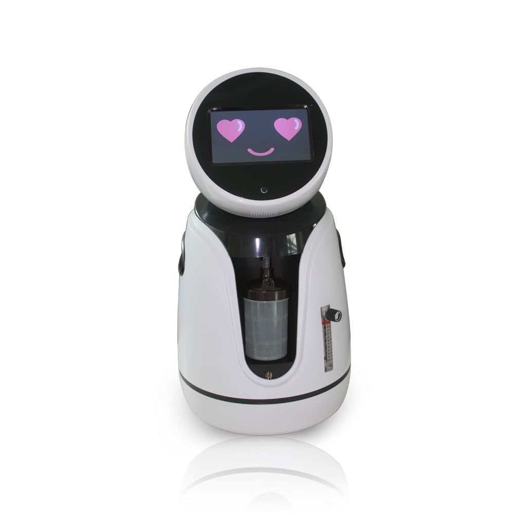 Intelligent Talking Robot for Home Companion with Camera